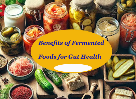 Benefits of Fermented Foods for Gut Health