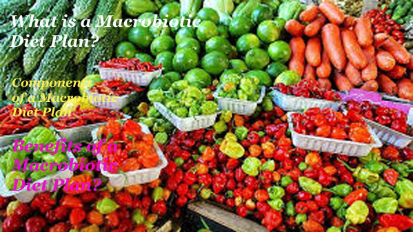 Macrobiotic Diets for gut Health